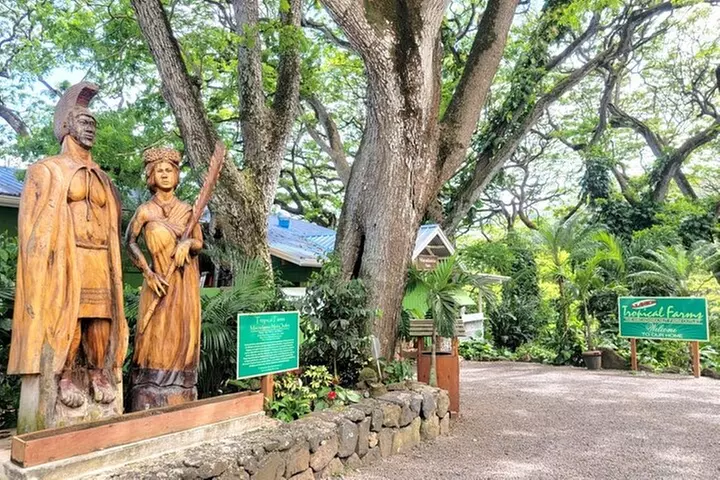 Oahu Private Tour with Mercedes Sprinter & New Luxury Vehicles