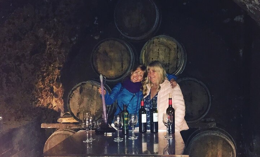 Image 11: Recorrido vinícola en grupo reducido por la Rioja arquitectónica co...