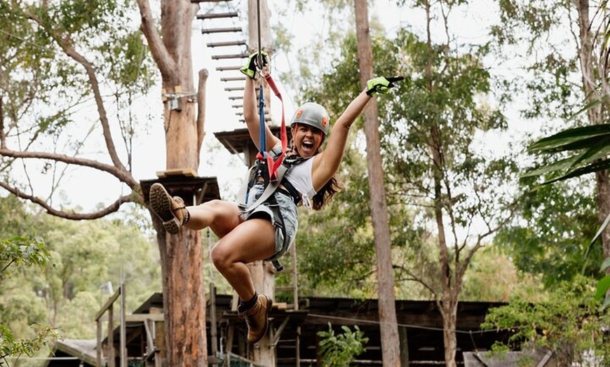 Image 3: Treetop Challenge Adrenaline Pass