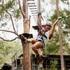 Image 3: Treetop Challenge Adrenaline Pass