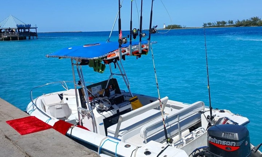 Image 3: Green Cay Boat Tour from Nassau