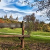 Image 4: Visita al Monasterio de El Escorial