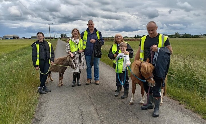 Image 13: Private Miniature Horse Walking near Lincoln
