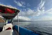 Double Reef Snorkel and Dolphin Watch in Kona - Second Medium
