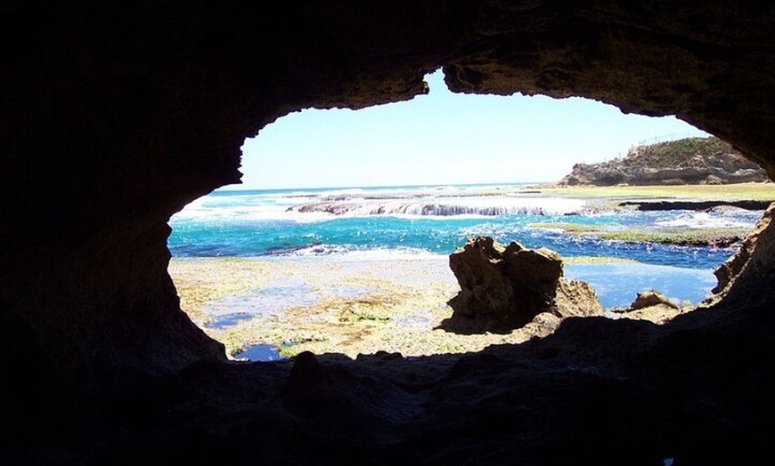 Image 4: Mornington Peninsula Private Day Tour