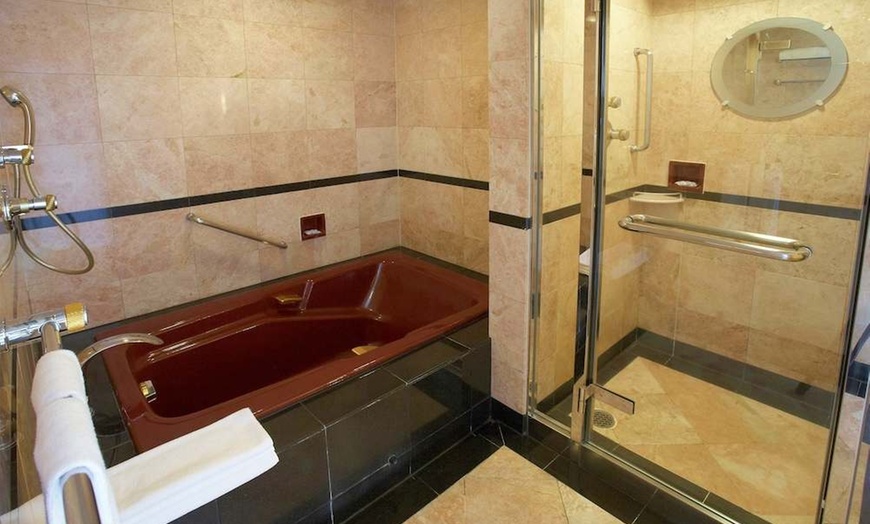 Image 278: ✈ JAPAN | Tokyo - Hotel East21 Tokyo 4*, 3 nights - City break