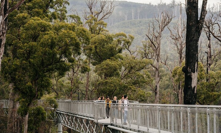 Image 21: 6 Day Island Icons Tassie Day Tour Bundle