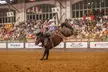 Fort Worth Championship Rodeo and Stockyards Tour - Second Medium
