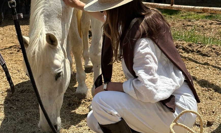 Image 3: Ibiza: Experiencia privada de naturaleza a caballo
