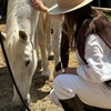 Image 3: Ibiza: Experiencia privada de naturaleza a caballo
