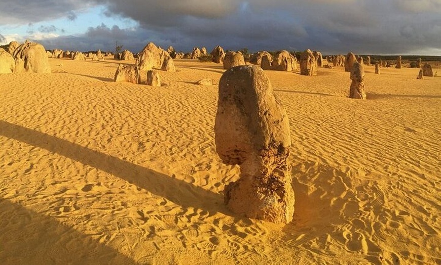 Image 4: 6 Hours Pinnacles Express Tour