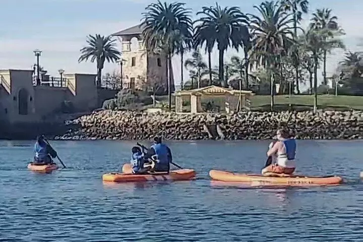 Paddle Board Picnics Lessons Rentals and Outdoor Adventures