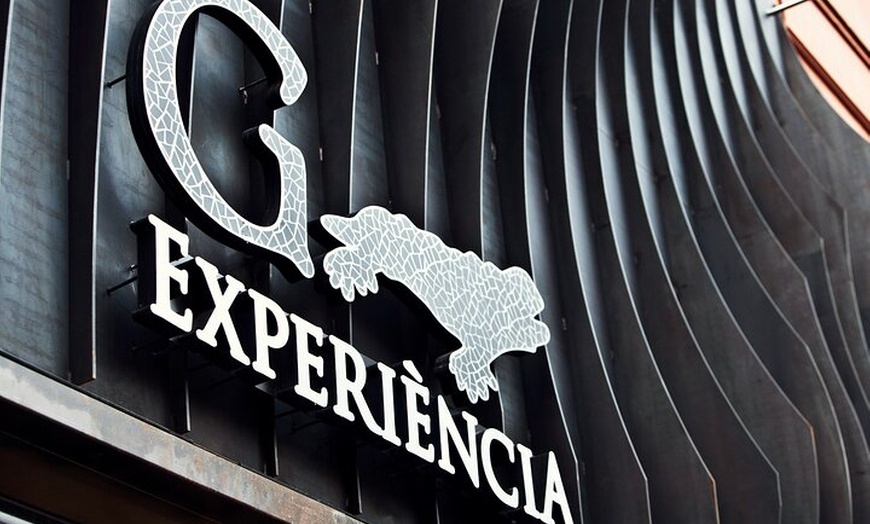 Image 14: Visita guiada por Park Guell con entrada sin colas