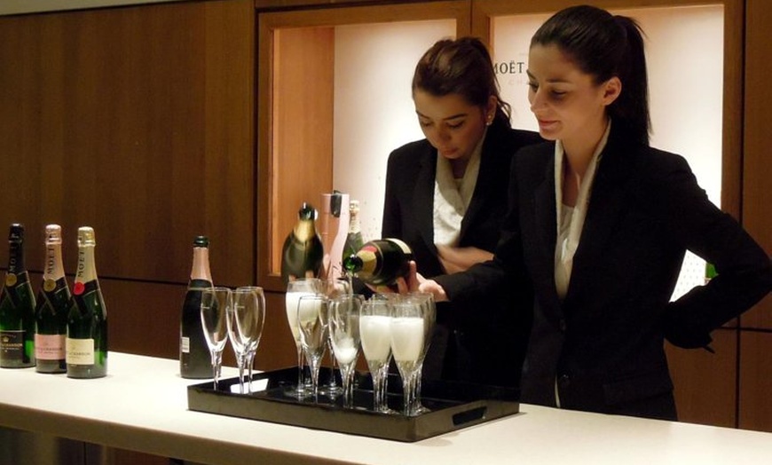 Image 11: Excursion privée d'une journée en Champagne au départ de Paris
