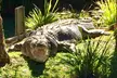 Central Coast Private Tour From Sydney, with Australian Reptile Park Option - Image 7