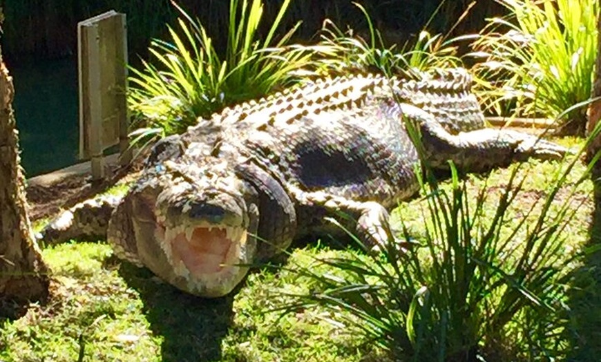 Image 7: Central Coast Private Tour From Sydney, with Australian Reptile Par...