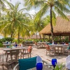Image 15: ✈ MALEDIVEN | Atoll Faadhippolhu - Kuredu Island Resort & Spa 4*, 5...
