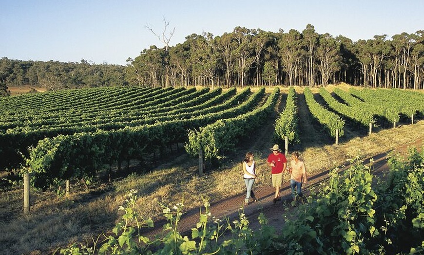 Image 4: Margaret River Coastal Tour