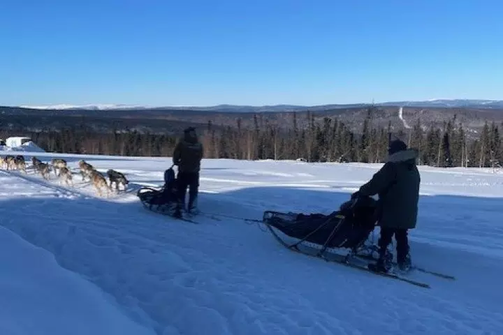 2-Hour Basic Dog Mushing School (without transportation)