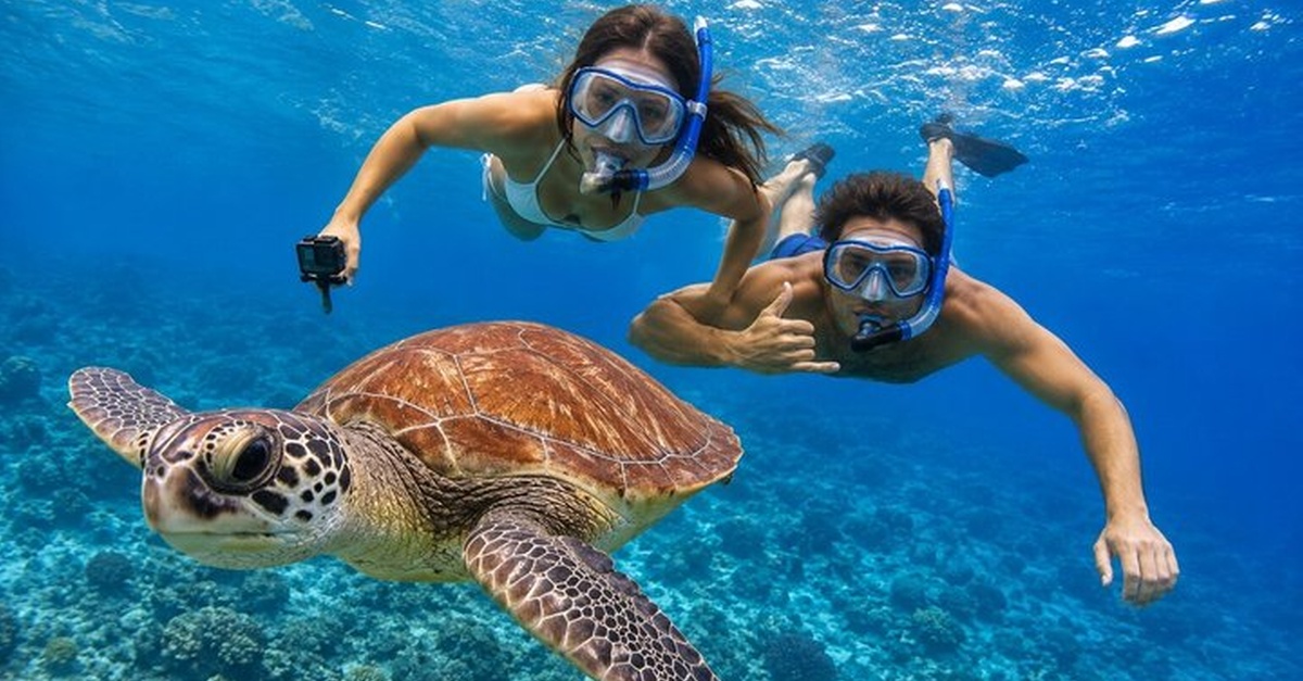 Actividad de snorkel Deepfin en Tenerife