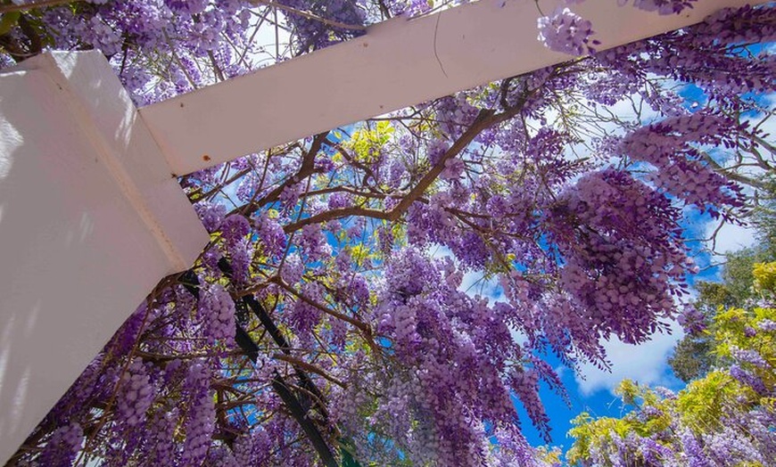 Image 3: The Top-Tier Tour