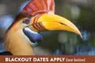 $18.50 for $37 worth of One Admission To The Alligator Farm - BLACKOUT DATES APPLY - Second Medium