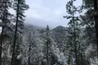 Ultimate Snowplay Adventure at Mount Charleston - Second Medium