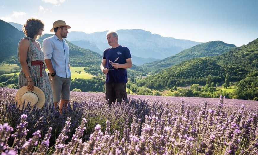 Image 3: Randonnée Familiale dans les Champs de Lavande du Vercors