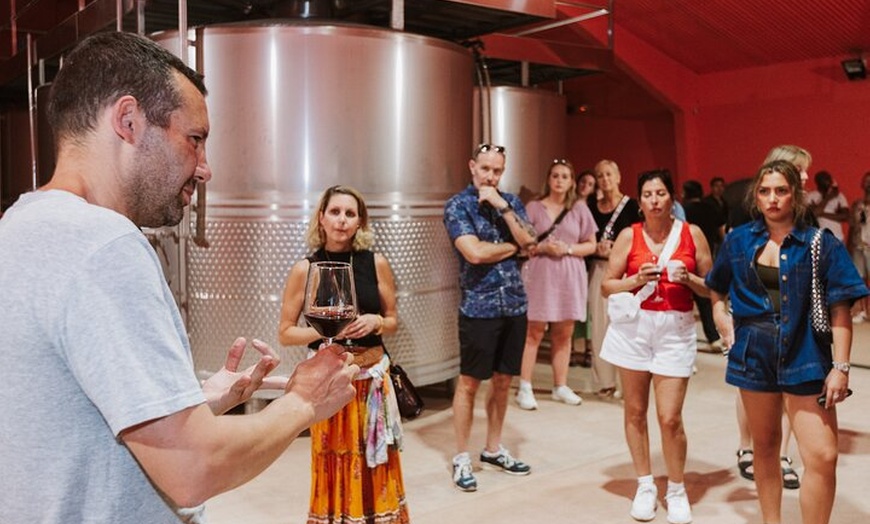 Image 19: Visita Guiada a Bodegas Rurales de Madrid con Cata de Vinos