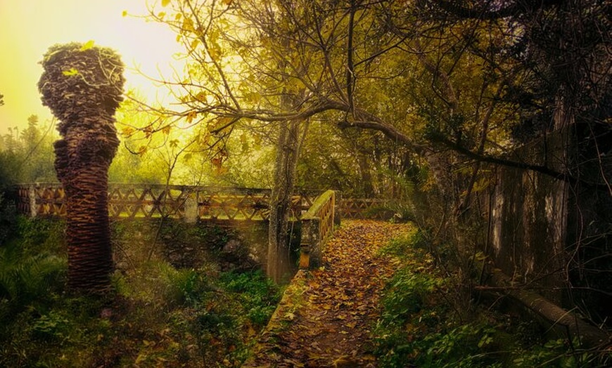 Image 18: Visita al Bosque Encantado de Córdoba en Hornachuelos