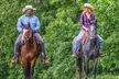 90 Minutes Private Horseback Ride Near Nashville - Second Medium