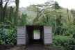 Waikiki Electric Bike Self Guided Tour- Manoa Falls Bike and Hike - Second Medium