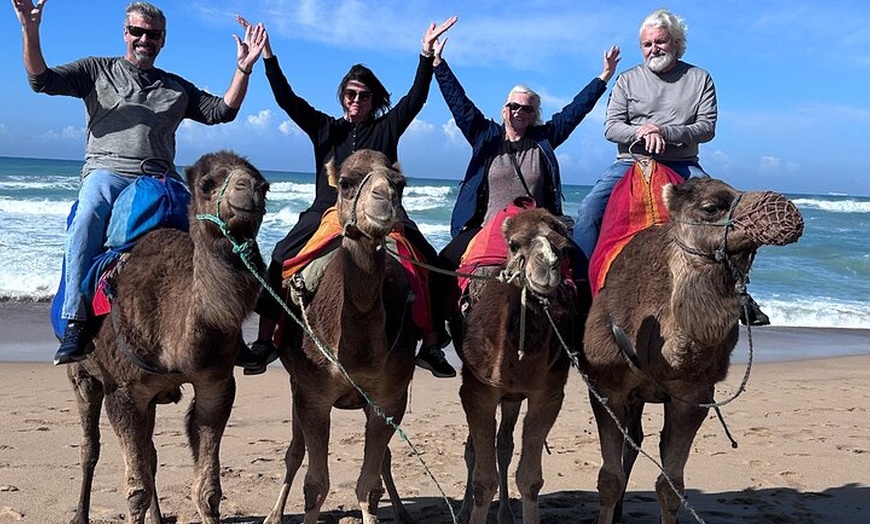 Image 16: Tour privado de lujo de un día a Tánger desde Marbella Todo incluido