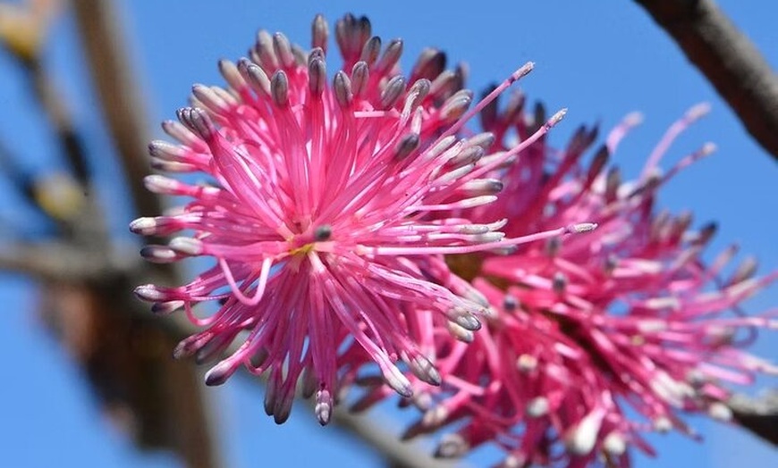 Image 11: Explore the Hidden Gorges: Kalbarri 4WD, Hike, Canoe Experience