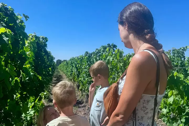 Visite Privée En Famille à Saint-Émilion : Village et Vignobles - Primary Image
