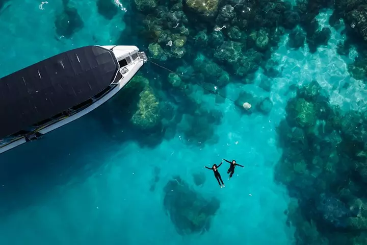 Great Barrier Reef Small Group Snorkelling Adventure - Primary Image