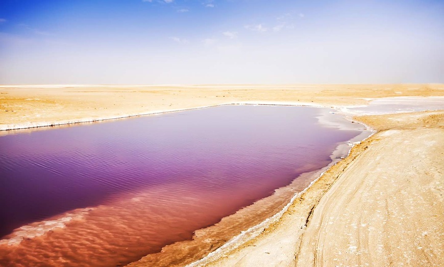 Image 9: ✈ TUNISIE | Djerba - Entre dunes et oasis – Réveillon dans le déser...