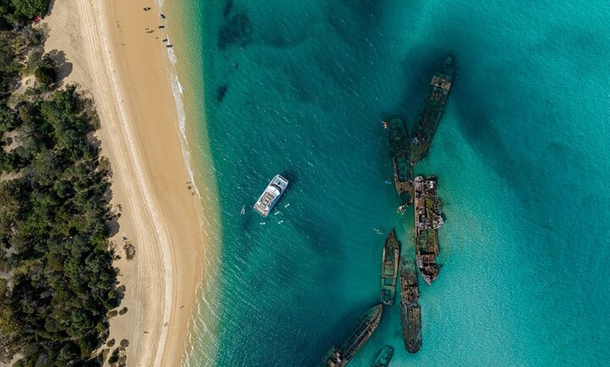 Image 10: Dolphin & Tangalooma Wrecks Snorkel Cruise & Lunch - Brisbane