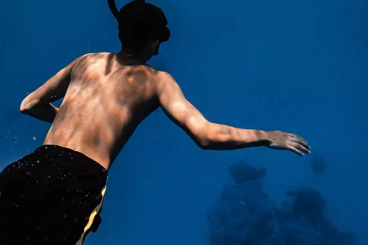 Turtle Canyon Snorkel in Waikiki, Oahu Semi Private