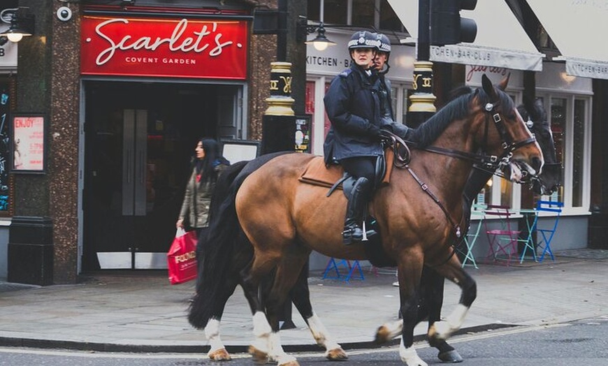 Image 16: London Tour including 30 Top Sights with Blue Badge Tour Guide