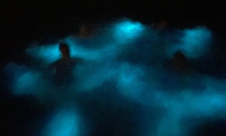 Image 2: Bioluminescent Bay Boat Tour Transport Snack and Snorkeling