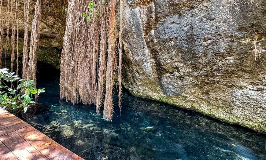 Image 21: Tulum Ruins, Sea Turtles & Cenote Swim Adventure Tour
