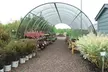 $20 For $40 Toward Plants, Shrubs & More - Second Medium