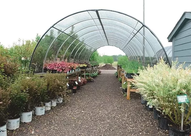 $20 For $40 Toward Plants, Shrubs & More