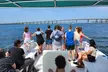 Daily Dolphin Cruise + Sightseeing Tour on Pensacola Beach - Second Medium