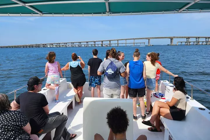 Daily Dolphin Cruise + Sightseeing Tour on Pensacola Beach