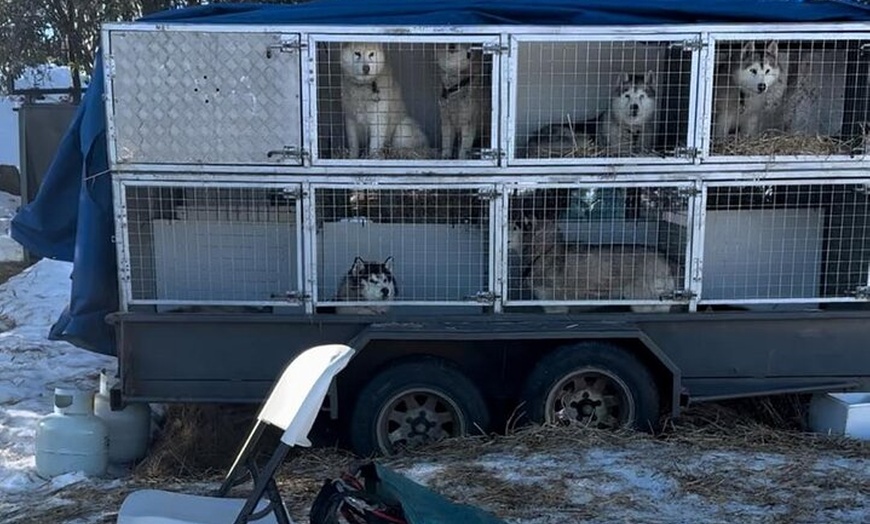 Image 9: Private Small Group Snow and Ski Tour to Mt Buller