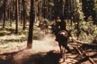Guided Horseback Trail Rides - Second Medium