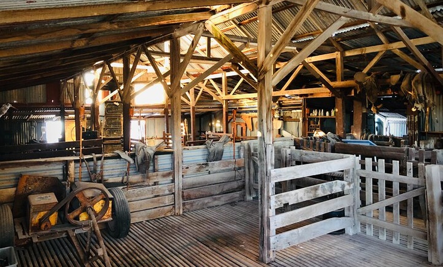 Image 6: Island Life Adventures | A Day at Dirk