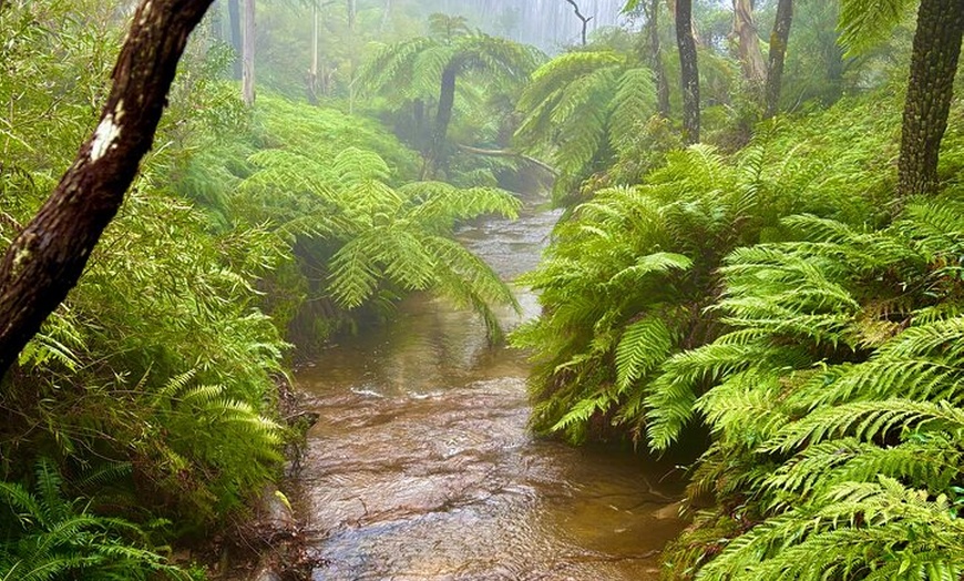 Image 10: Best of Sydney and Blue Mountains 2 Days Luxury Private tour